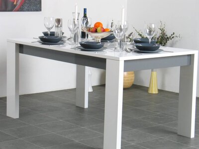 Eettafel wit grijs hoogglans 160x90 Everglades