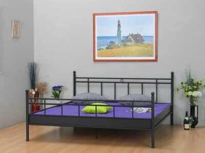 Metalen bed zwart tweepersoons bed 180cm