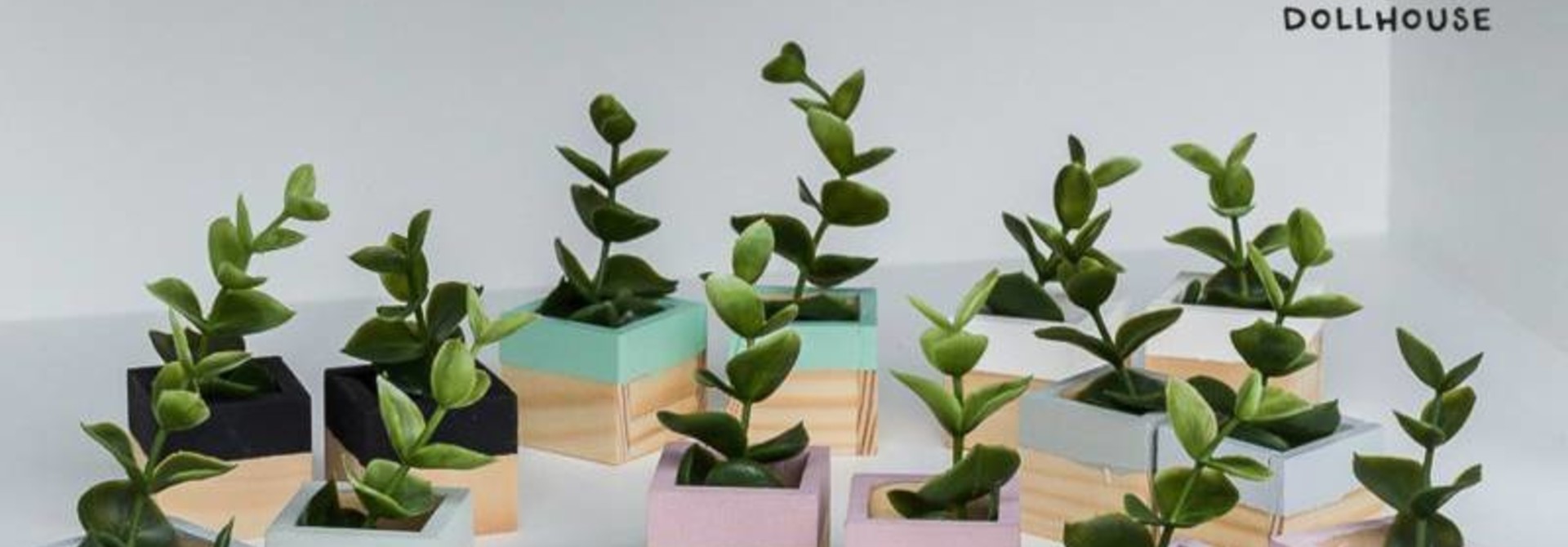 Plantenbakken Set van 2