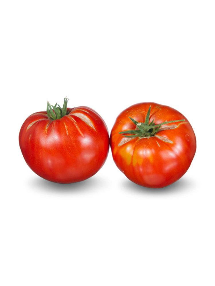 10x Tomatenzaden 'Red Brandywine'