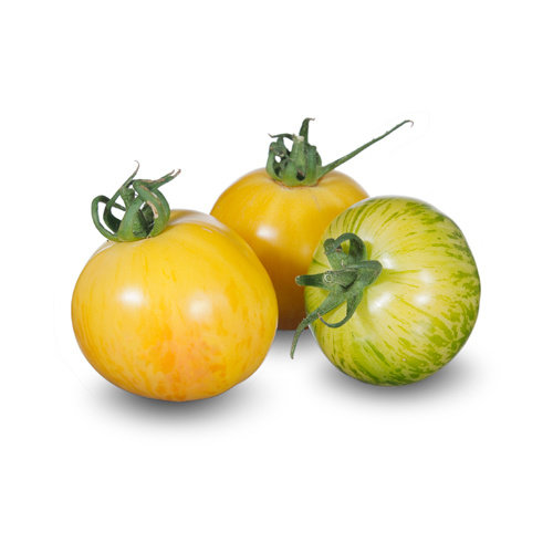 20x Tomatenzaden 'Blonde Boar'