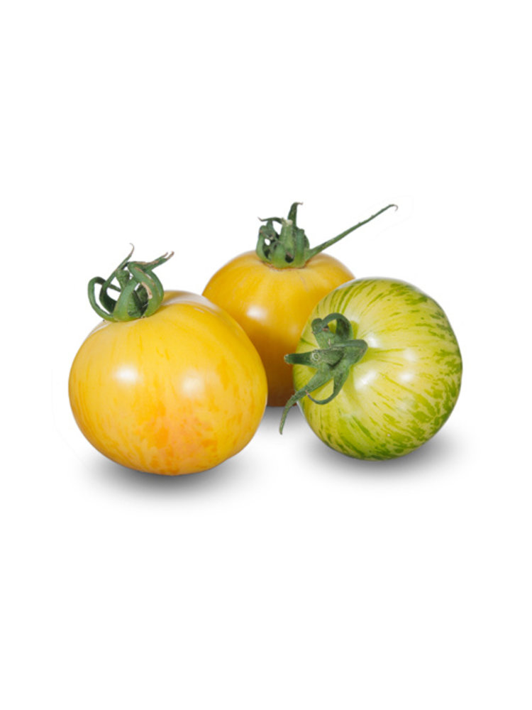 10x Tomatenzaden 'Blonde Boar'