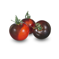 10x Tomatenzaden 'Indigo Rose'