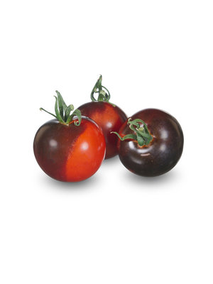 10x Tomatenzaden 'Indigo Rose'