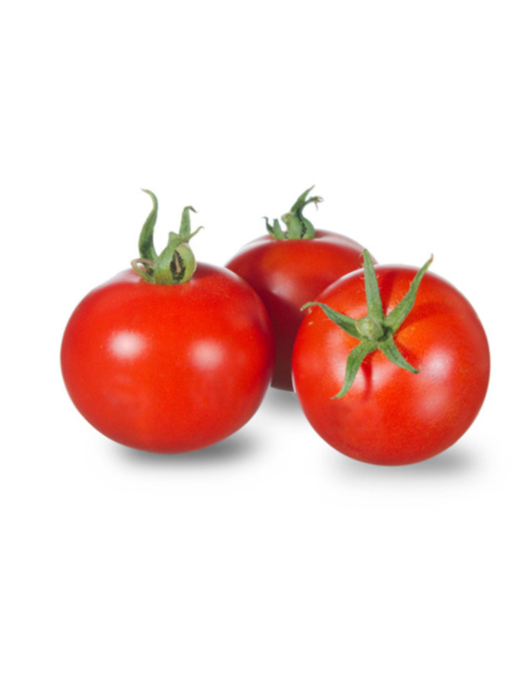 20x Tomatenzaden 'Matina'