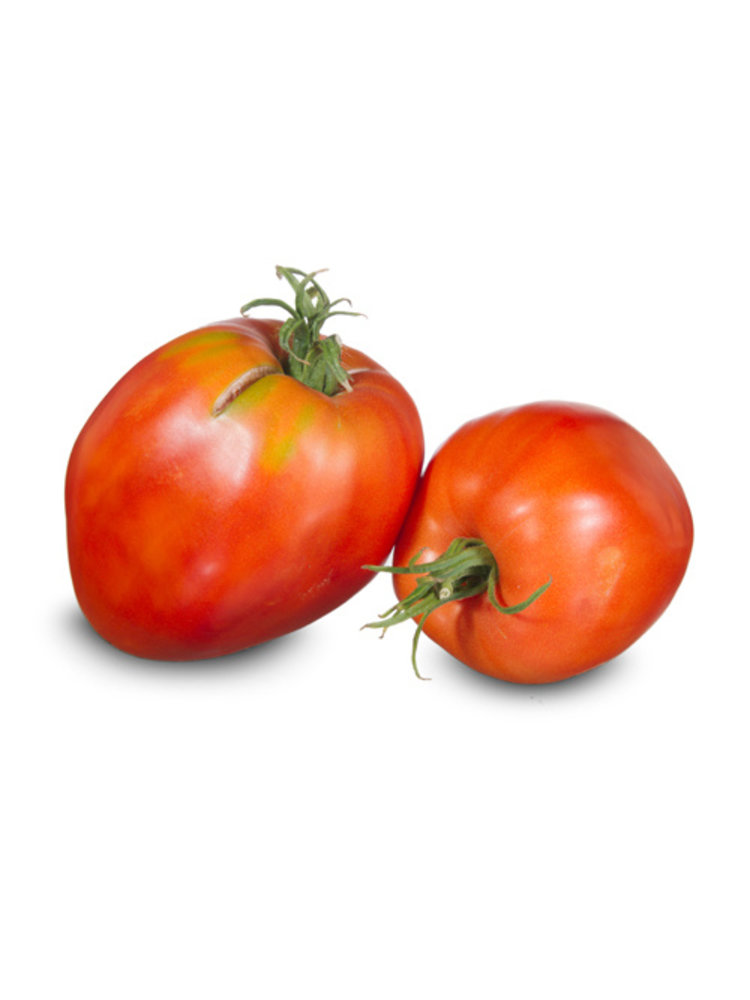 20x Tomatenzaden 'Momimi Salzi'