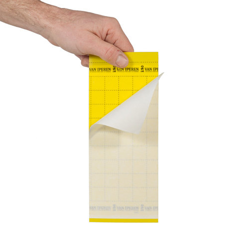 Gele vangplaat 10x Gele vangplaat 10x