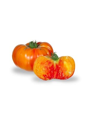 10x Tomatenzaden 'Old German'