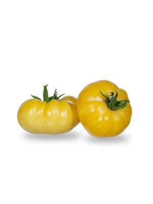 10x Tomatenzaden 'White Tomesol'