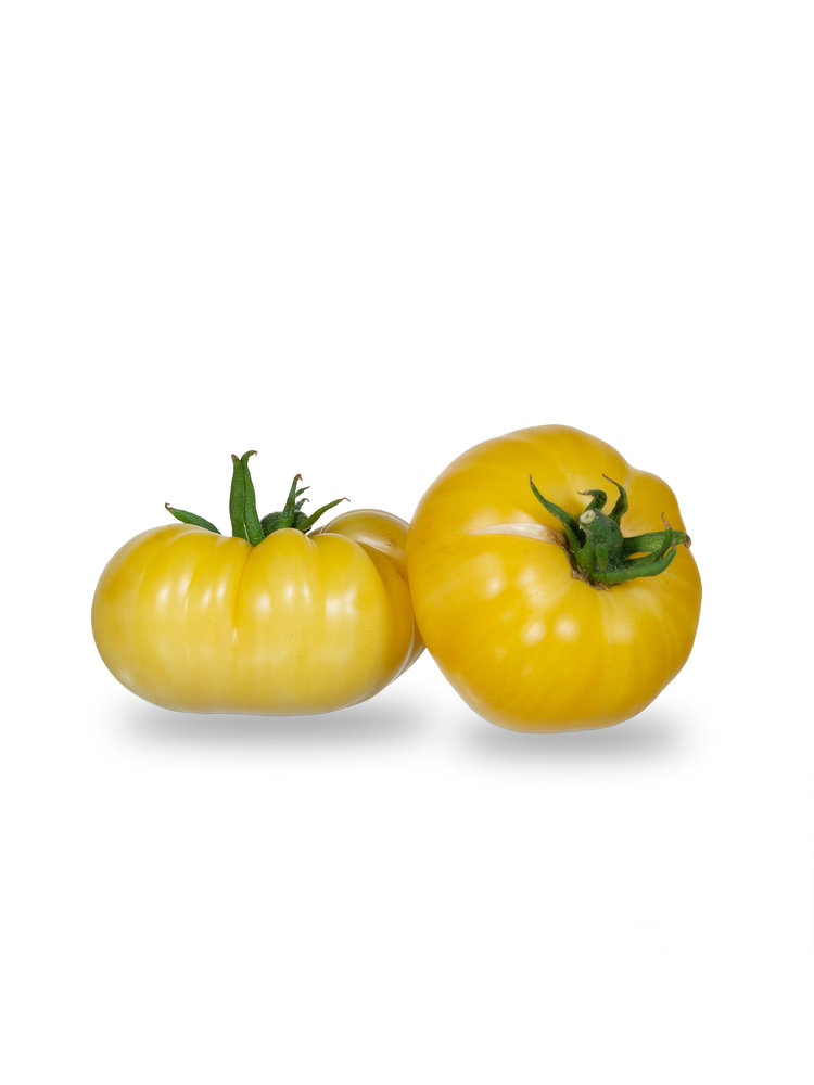 10x Tomatenzaden 'White Tomesol'