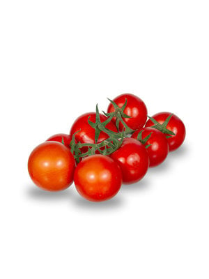 20x Tomatenzaden 'Tica'