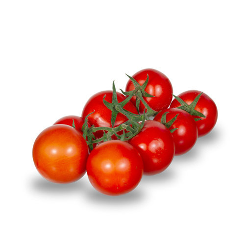 20x Tomatenzaden 'Tica'