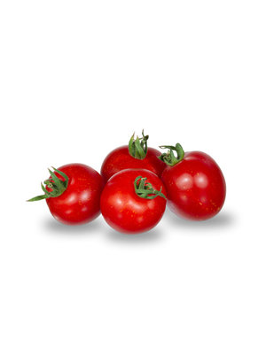 10x Tomatenzaden 'Outdoor Girl'