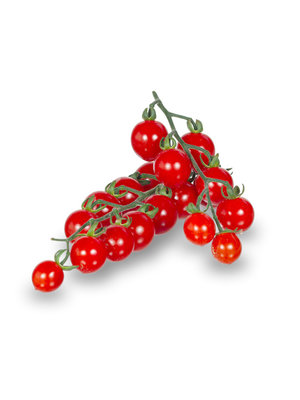 20x Tomatenzaden 'Sweet Aperitif'