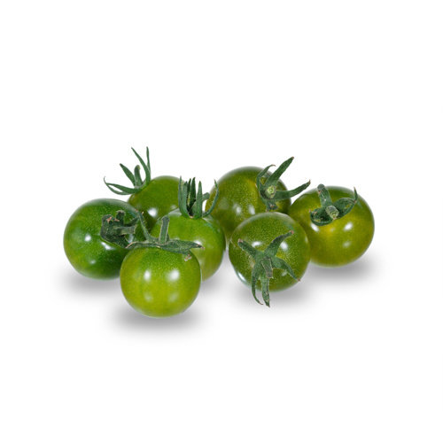 20x Tomatenzaden 'Green Doctors'