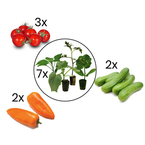 Snoep groenteplanten mix Snoep groenteplanten mix
