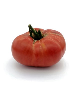 10x Tomatenzaden 'Rebel Yell'