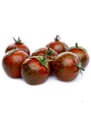 20x Tomatenzaden 'Purple Bumble Bee'