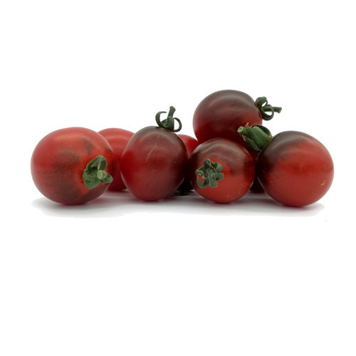 20x Tomatenzaden 'Fahrenheit Blue'