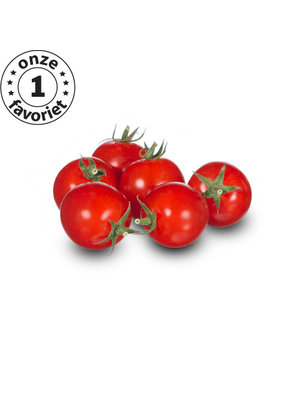 10x Tomatenzaden 'Zasweet'