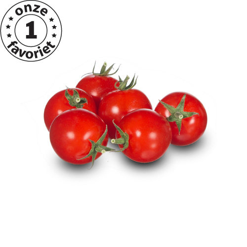 20x Tomatenzaden 'Zasweet'