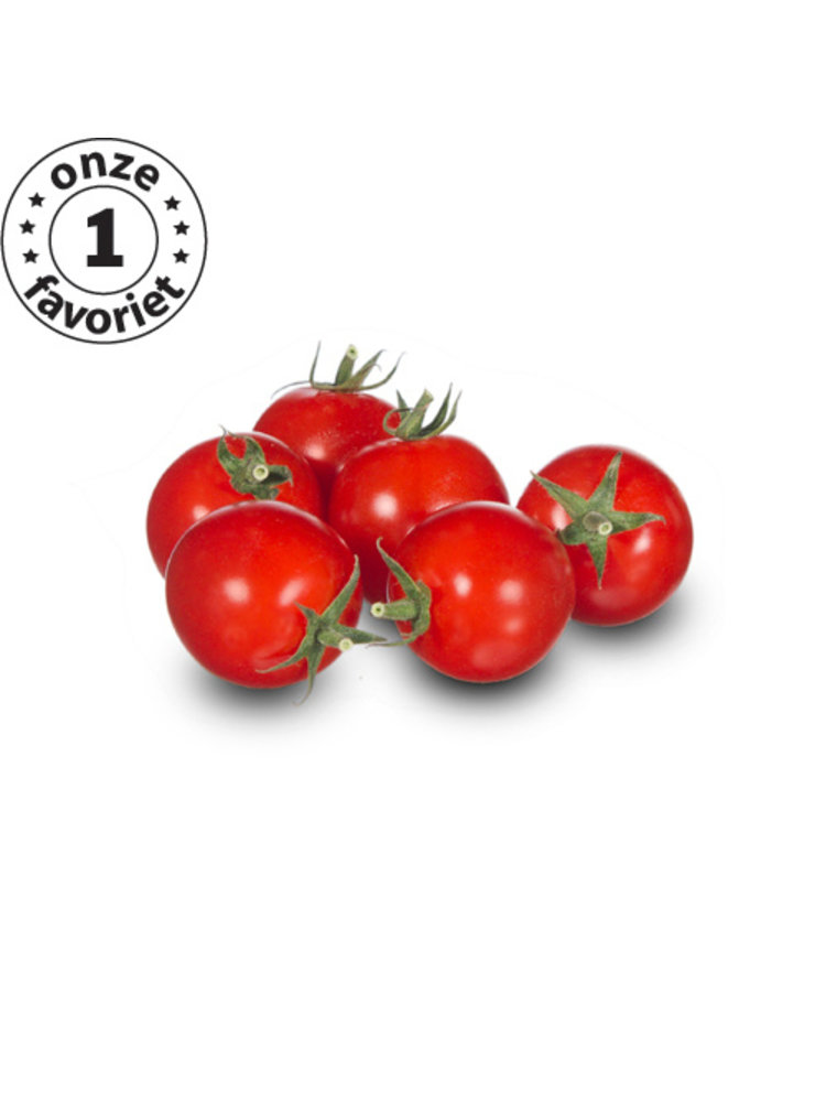 10x Tomatenzaden 'Zasweet'
