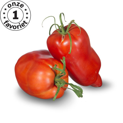 20x Tomatenzaden 'Cornue Des Andes' 20x Tomatenzaden 'Cornue Des Andes'