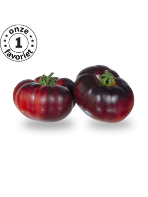 10x Tomatenzaden 'Amethyst Jewel'