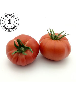 10x Tomatenzaden 'Romania Pink'