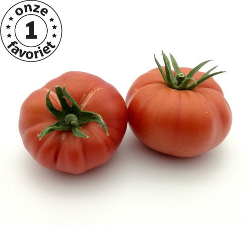 20x Tomatenzaden 'Romania Pink'