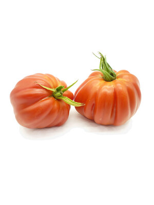 10x Tomatenzaden 'Liguria'