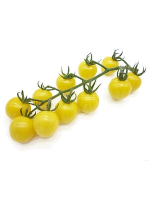 10x Tomatenzaden 'Lollipop'