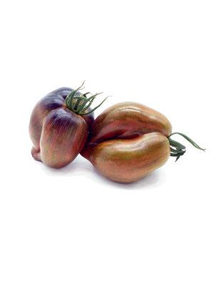 10x Tomatenzaden 'Rebel Starfighter Prime'