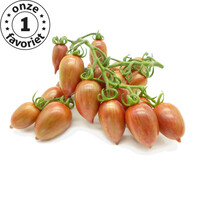 20x Tomatenzaden 'Candy Sweet Icicle'