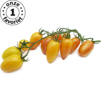 20x Tomatenzaden 'Blush'