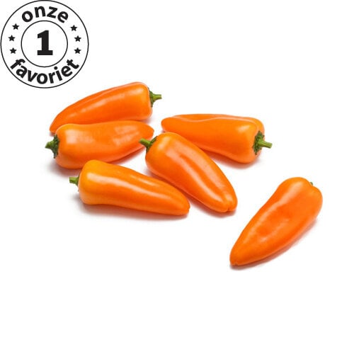 10x Paprika zaden 'Sweet Candy Orange'