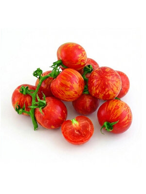 10x Tomatenzaden 'Tigerella'