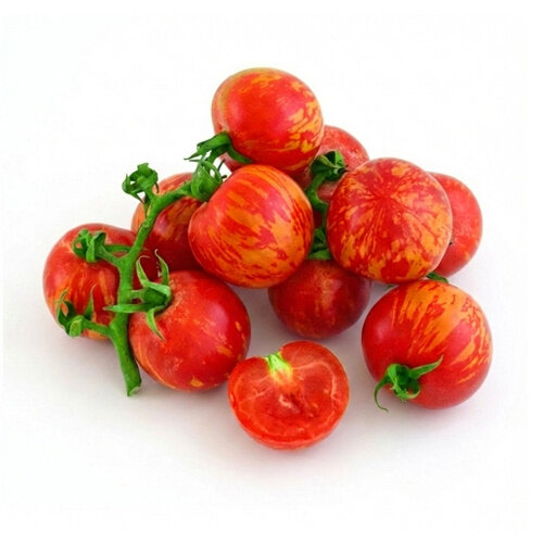 10x Tomatenzaden 'Tigerella'