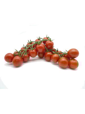 10x Tomatenzaden 'Zasweet'