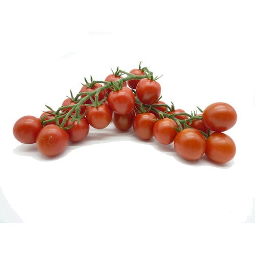 10x Tomatenzaden 'Zasweet'