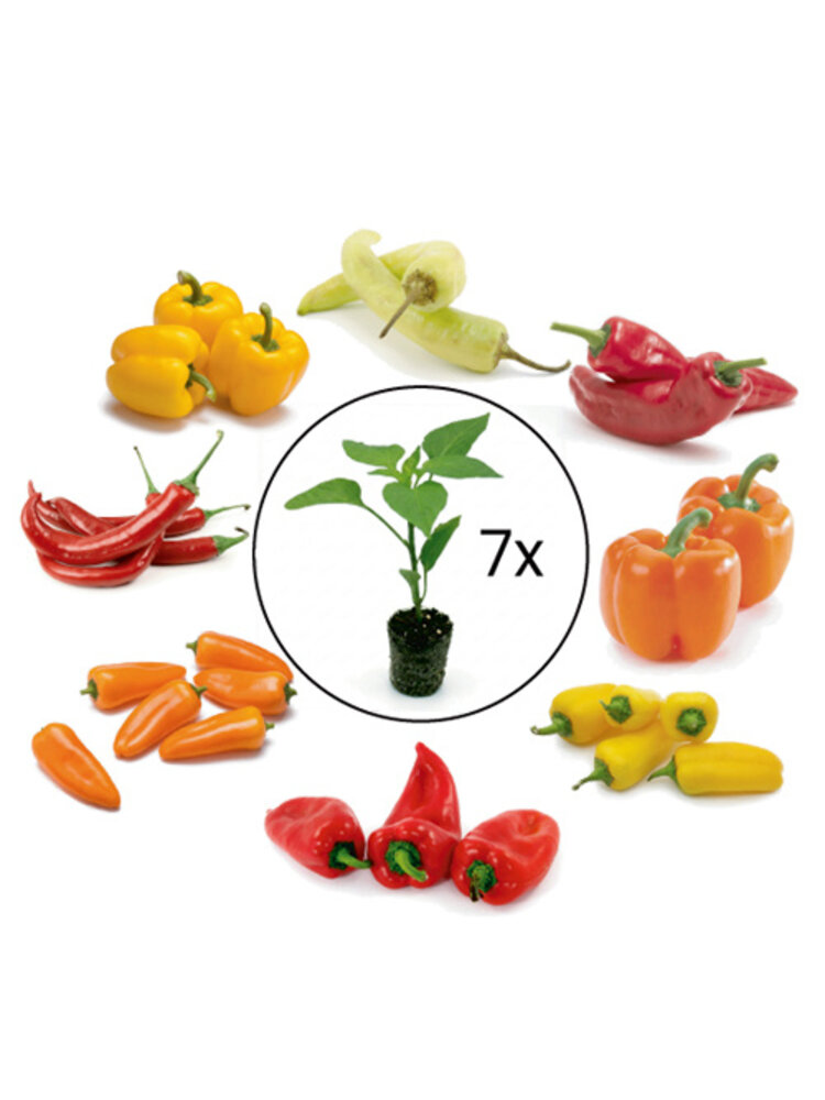 Paprikaplanten verrassing mix