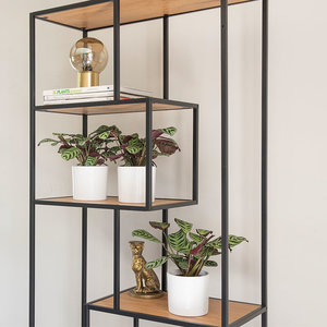 WoonQ-Set van 3 - Gebedsplant 'Ctenanthe Burle-Marxii'-aanbieding WoonQ-Set van 3 - Gebedsplant 'Ctenanthe Burle-Marxii'-aanbieding