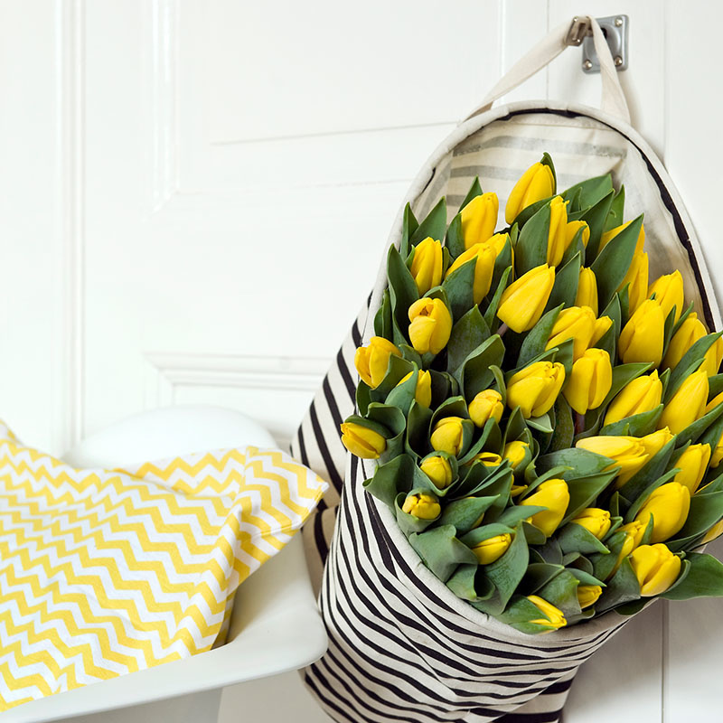 35 stuks Bloembollen - Tulpen Geel 35 stuks Bloembollen - Tulpen Geel