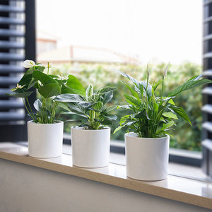 WoonQ Set van 3 - White Mix aanbieding WoonQ Set van 3 - White Mix aanbieding