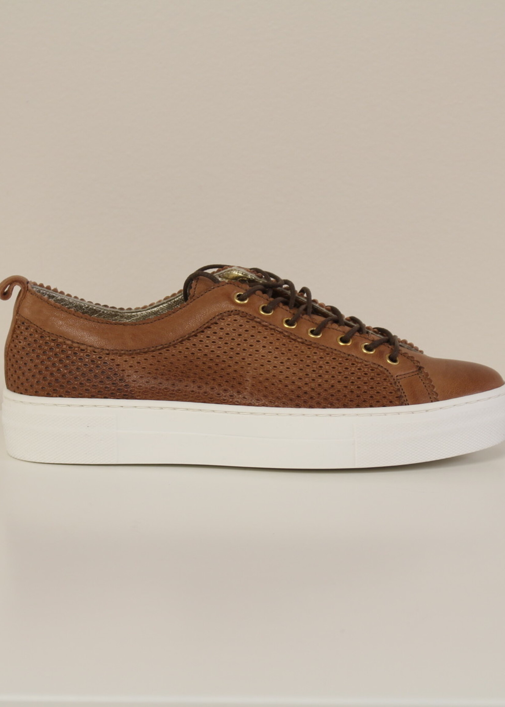 Sneaker forata cognac