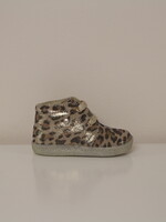 Falcotto conte eerste stapper leopard