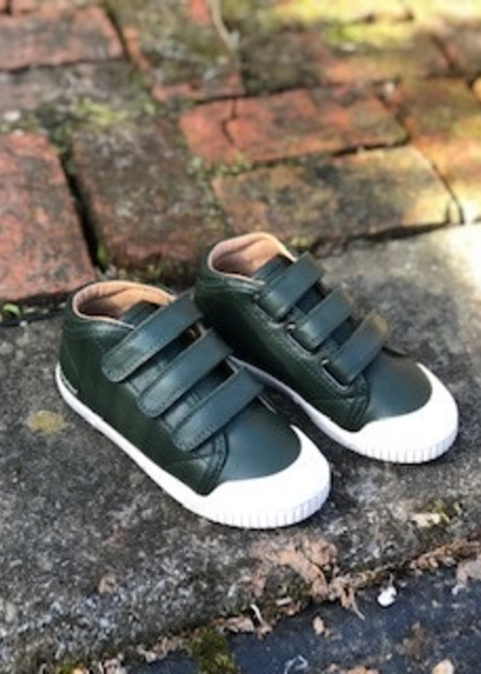 Springcourt BVK 5012-2 dark green