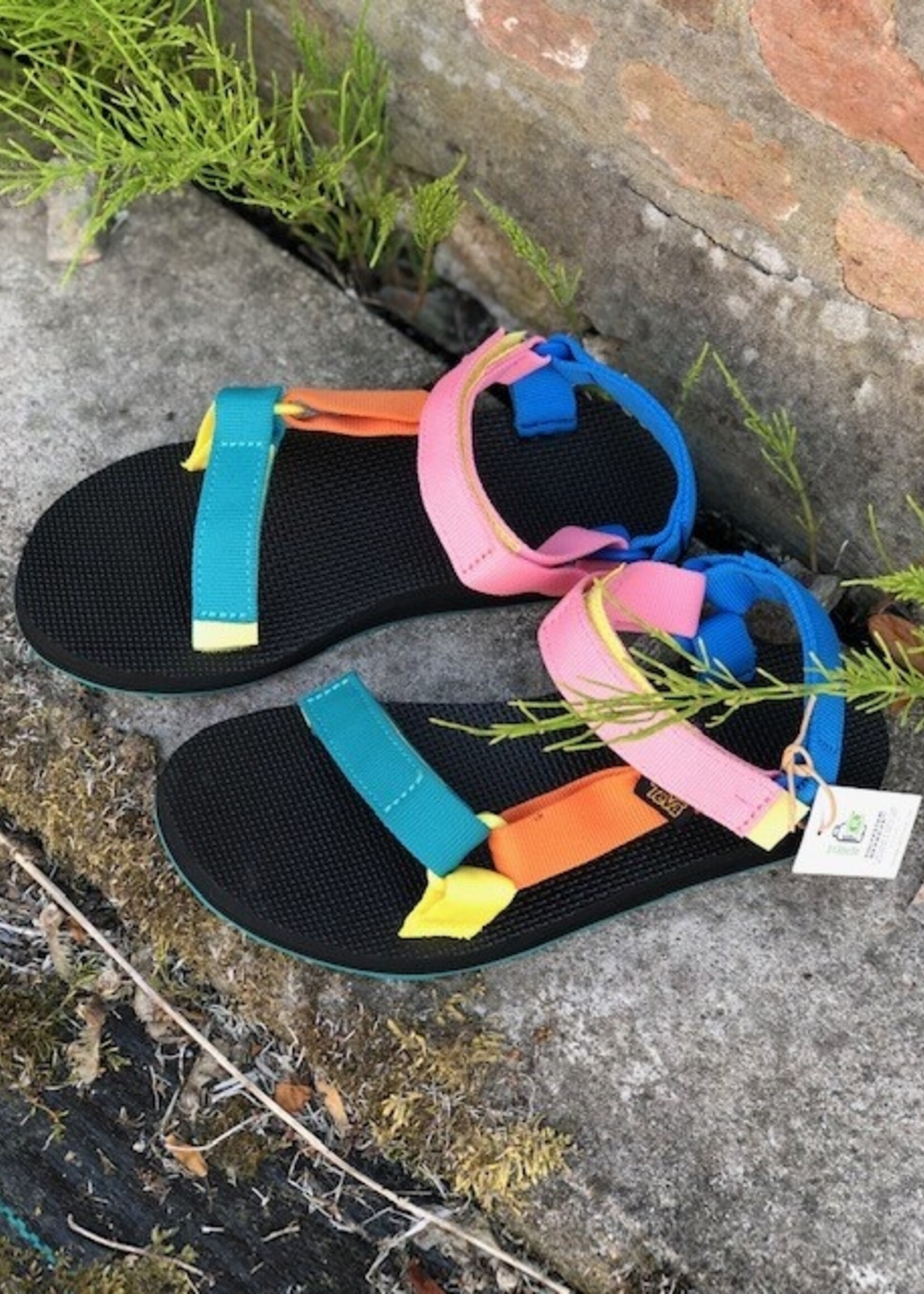 TEVA original universal multi