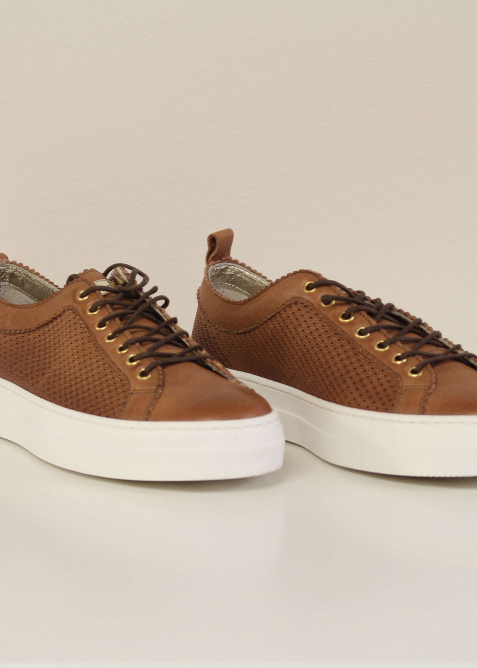 Jarrett Sneaker forata cognac