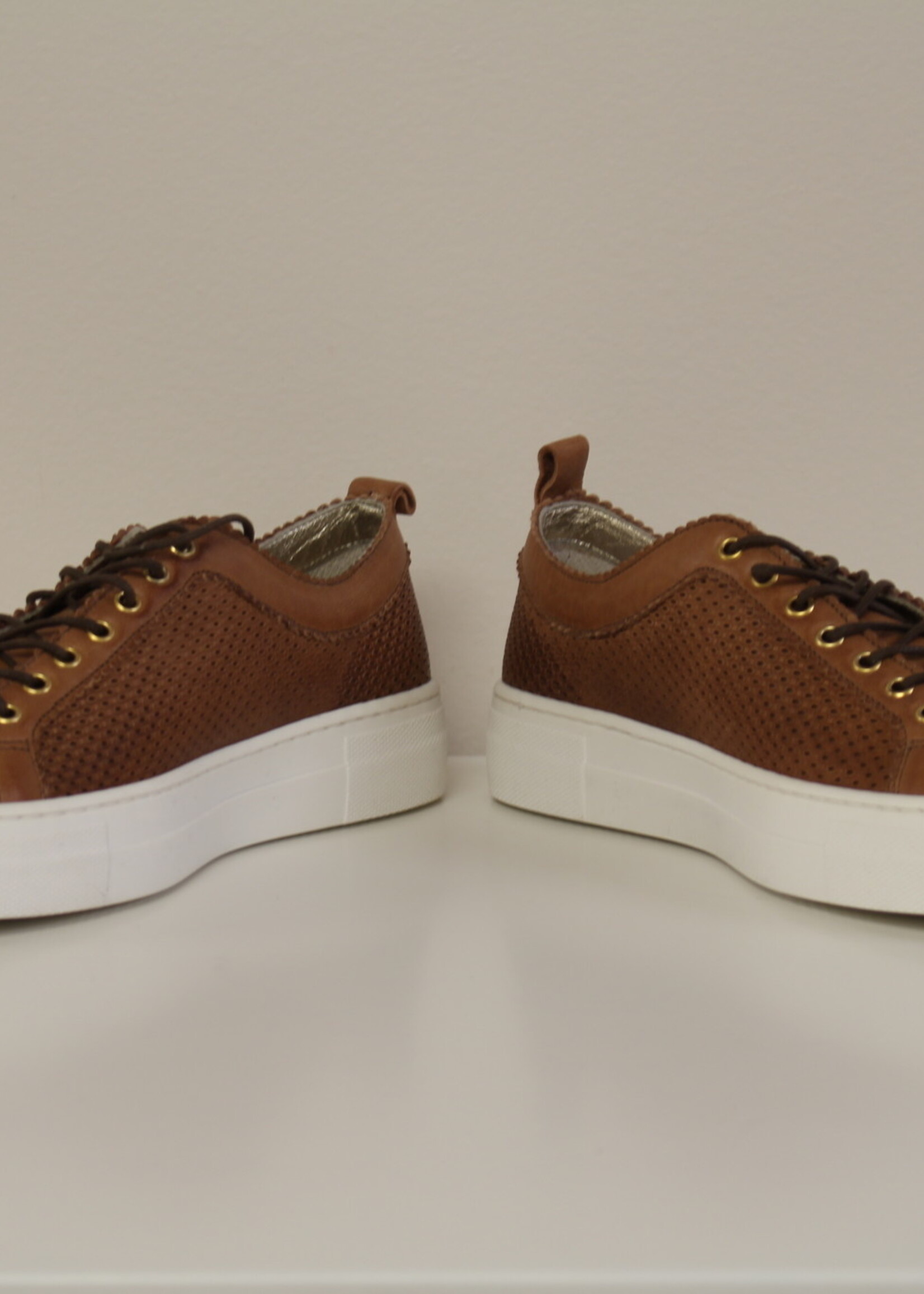 Jarrett Sneaker forata cognac